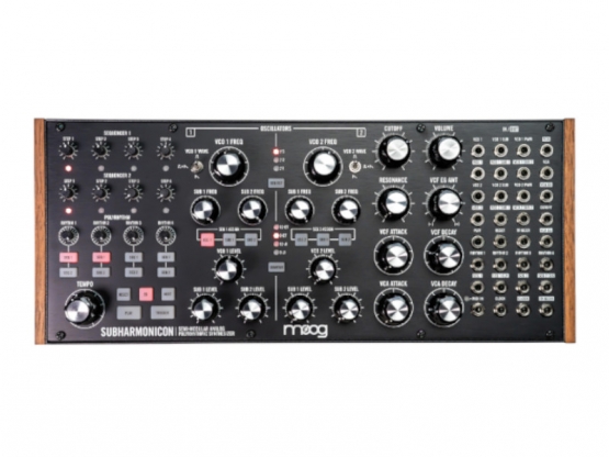 Moog Subharmonicon - analog Syntheziser