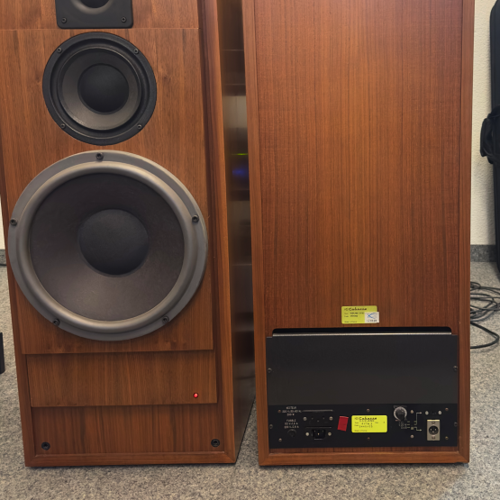 2nd Hand: Cabasse Goeland 4 VTA