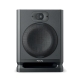 Focal Alpha 80 Evo - Paar