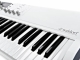 Waldorf Blofeld Keyboard Weiss
