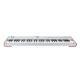 Arturia AstroLab 61 Silver – Limited Edition